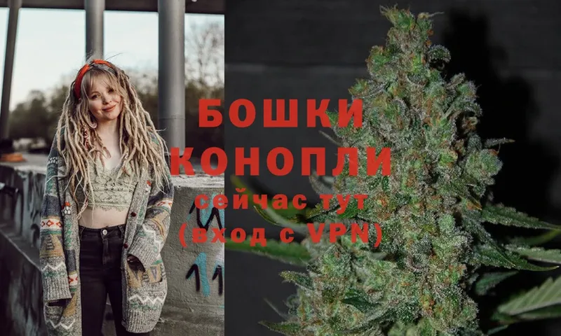 MEGA как зайти  даркнет официальный сайт  Беломорск  Канабис Ganja  даркнет сайт 